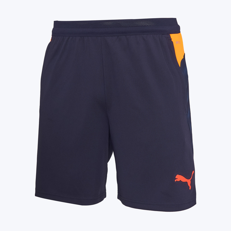 Шорты тренировочные Puma Individualcup 66024808