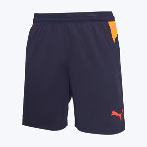 Шорты тренировочные Puma Individualcup 66024808