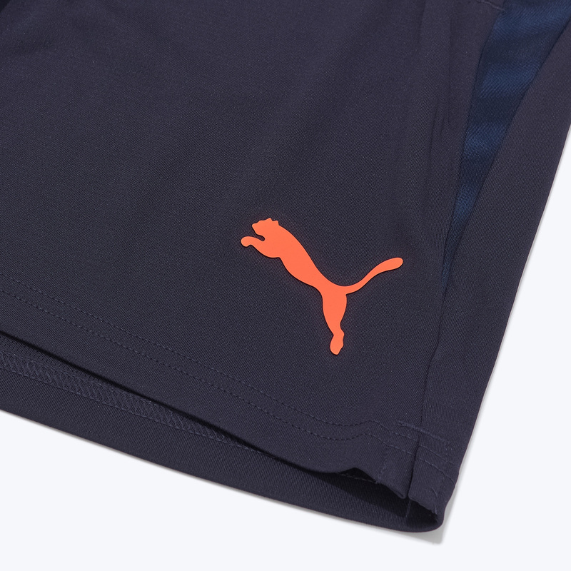 Шорты тренировочные Puma Individualcup 66024808