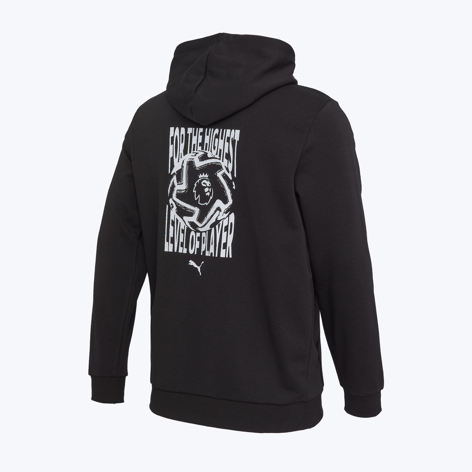 Толстовка Puma PL Logo 66036701
