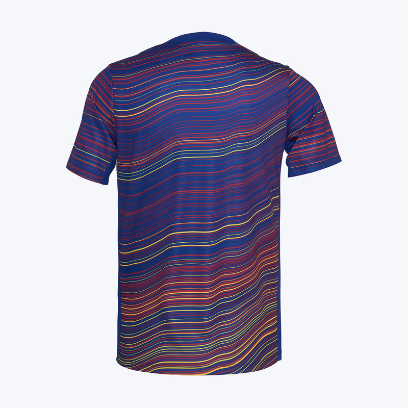 Футболка предыгровая Nike Barcelona Academy Pro Top сезон 2025/26