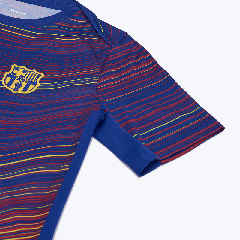 Футболка предыгровая Nike Barcelona Academy Pro Top сезон 2025/26