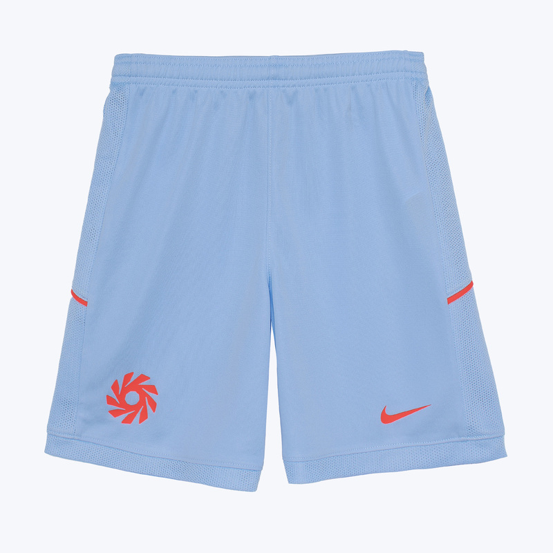 Шорты тренировочные подростковые Nike Erling Haaland Academy HV0213-425