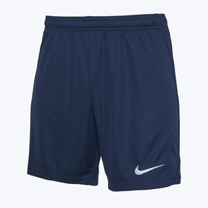 Шорты тренировочные Nike Academy Pro FD7605-451