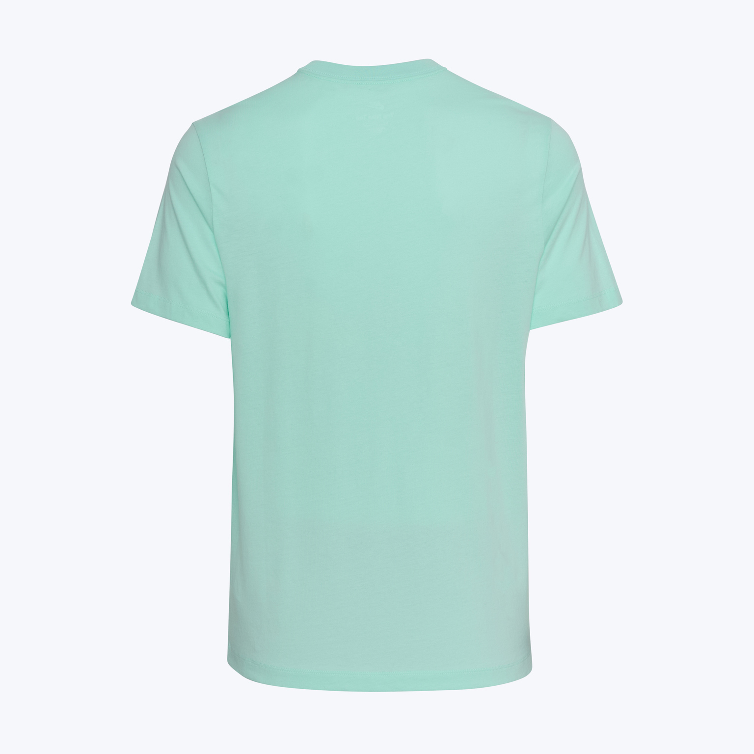 Футболка хлопковая Nike Club Tee AR4997-305