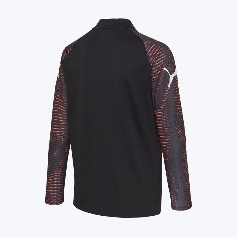 Свитер тренировочный Puma Individual Final 1/4 Zip Top 66042601