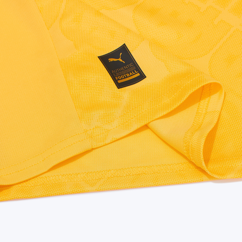 Футболка игровая резервная Puma Milan сезон 2025/26