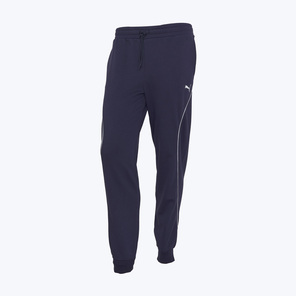 Брюки Puma Sport 69217516