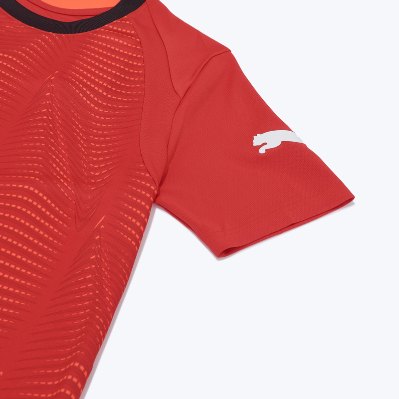 Футболка тренировочная Puma Individualfinal 66042401