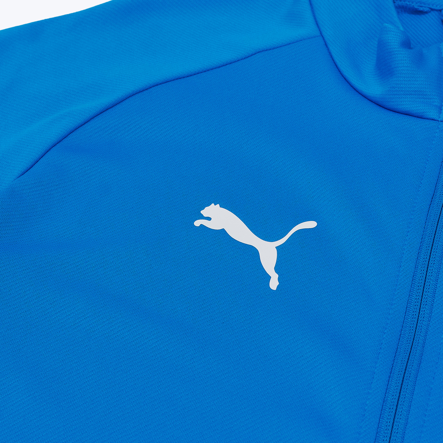 Олимпийка Puma Teamliga26 65972702