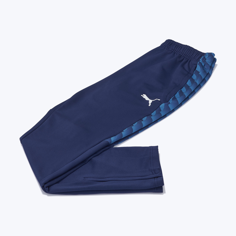 Брюки тренировочные Puma Teamliga26 65973306