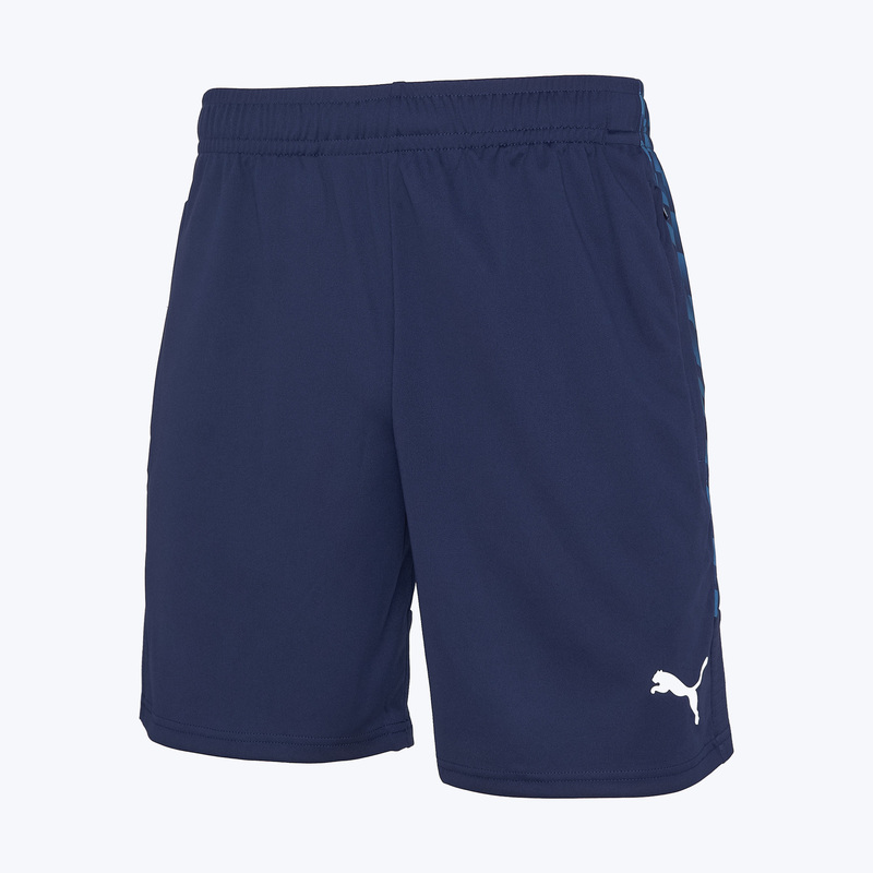 Шорты тренировочные Puma Teamliga26 65973006