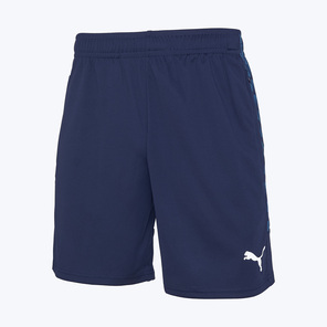 Шорты тренировочные Puma Teamliga26 65973006