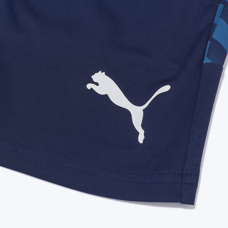 Шорты тренировочные Puma Teamliga26 65973006