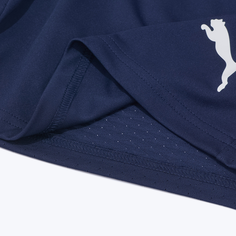 Шорты тренировочные Puma Teamliga26 65973006