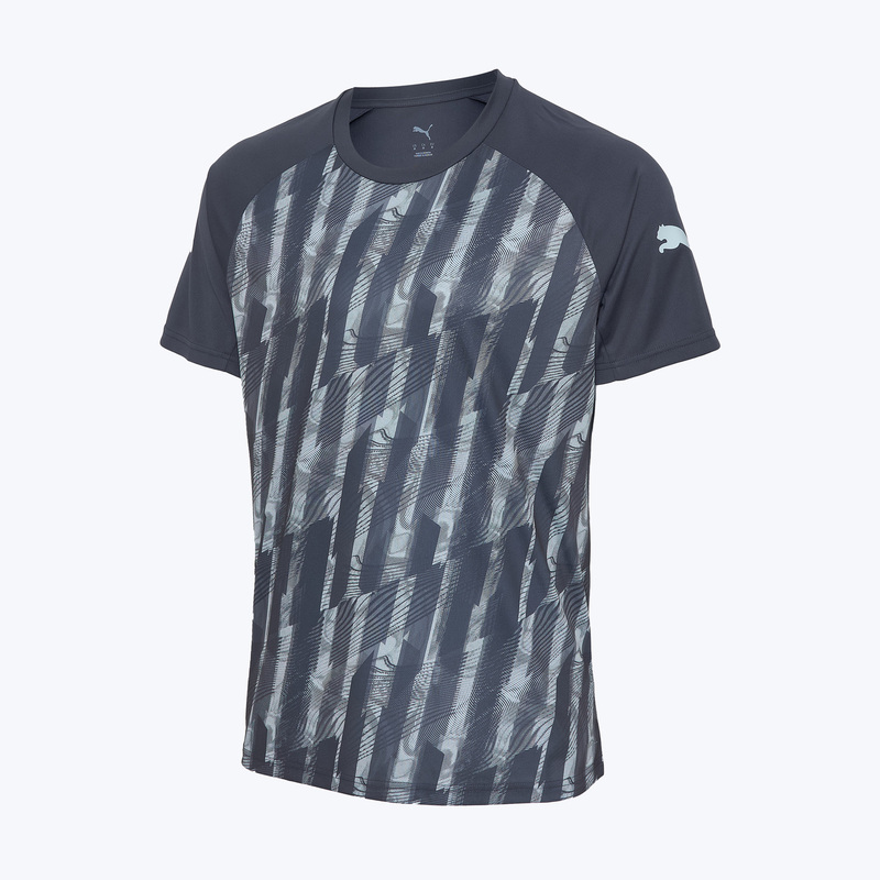 Футболка тренировочная Puma Individualliga Graphic 66057802
