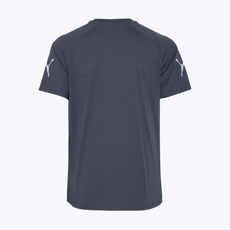 Футболка тренировочная Puma Individualliga Graphic 66057802