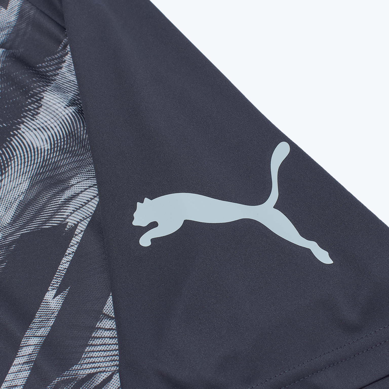 Футболка тренировочная Puma Individualliga Graphic 66057802