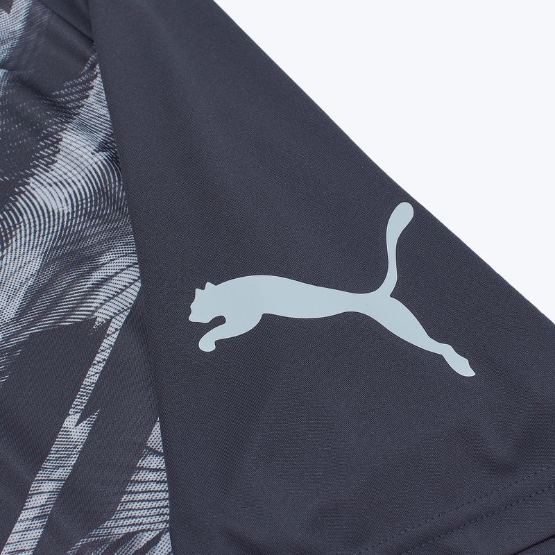Футболка тренировочная Puma Individualliga Graphic 66057802