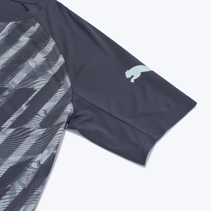 Футболка тренировочная Puma Individualliga Graphic 66057802