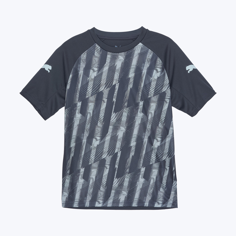 Футболка тренировочная подростковая Puma Individualliga Graph 66057902