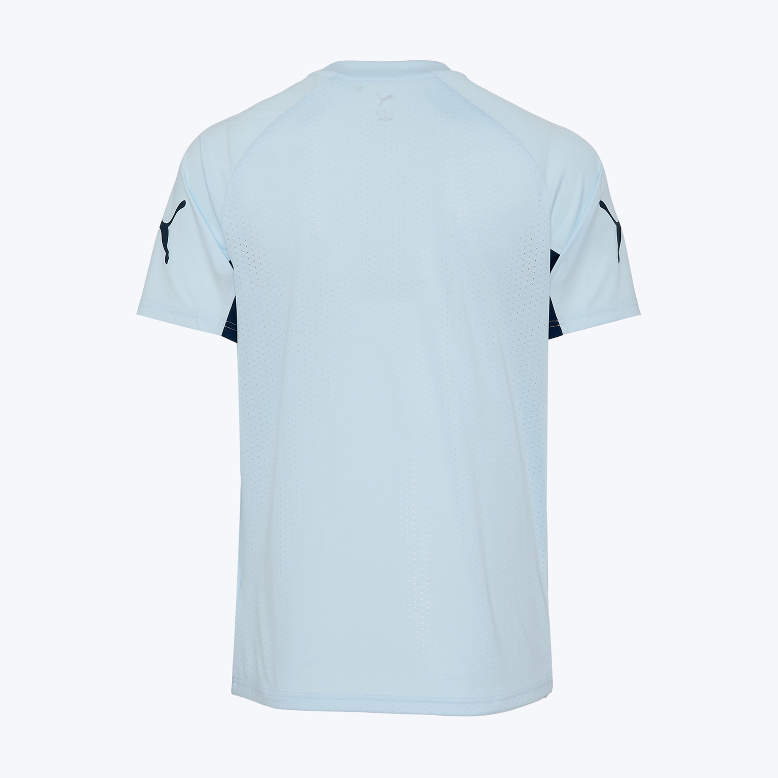 Футболка тренировочная Puma Individualliga 66058102