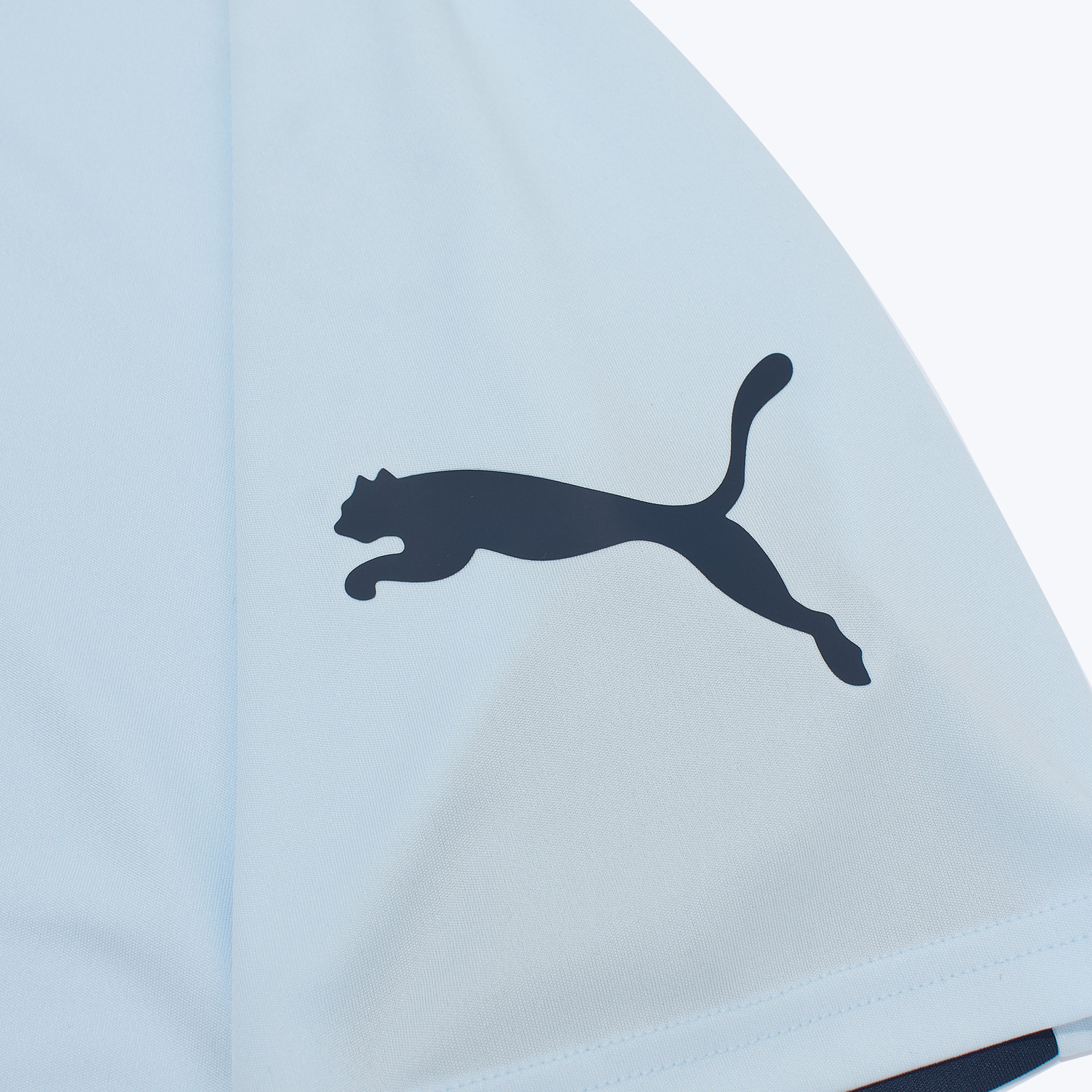 Футболка тренировочная Puma Individualliga 66058102