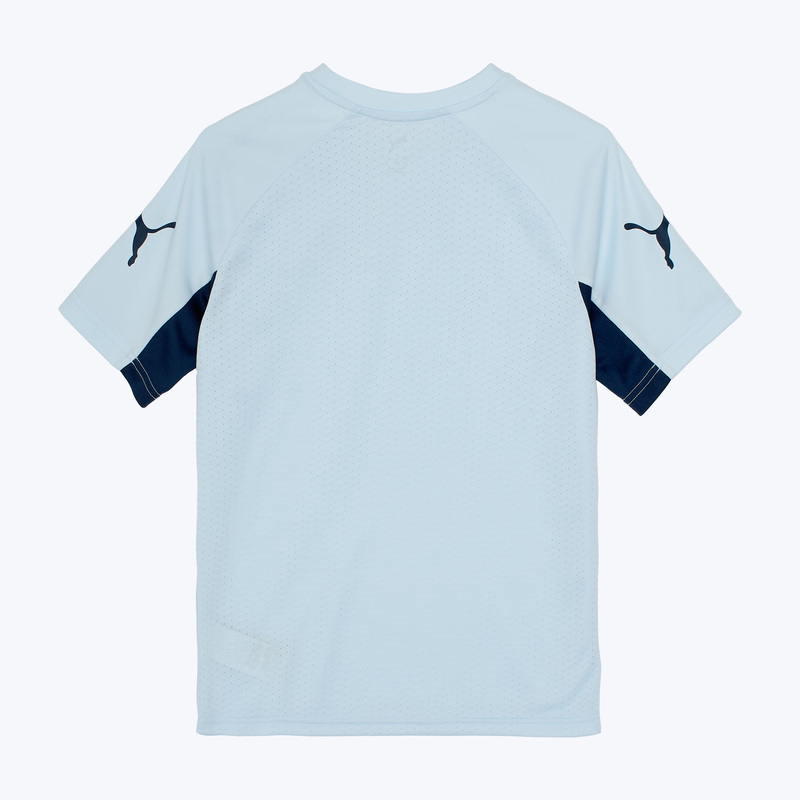 Футболка тренировочная подростковая Puma Individualliga 66058202