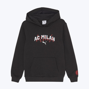 Толстовка подростковая Puma Milan Ftblculture 78260305