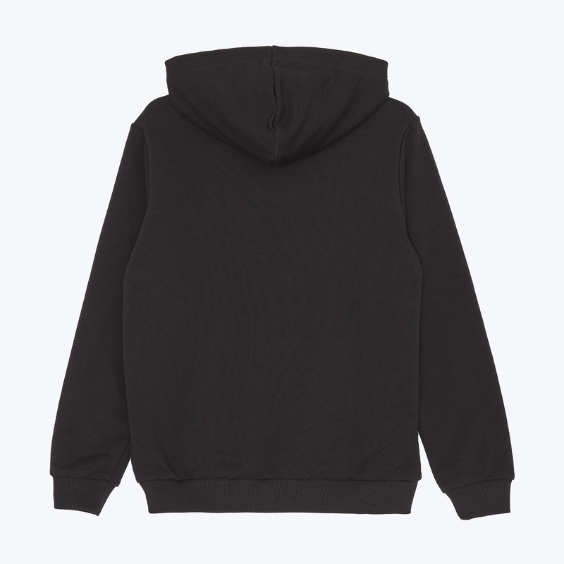 Толстовка подростковая Puma Milan Ftblculture 78260305