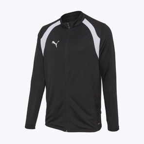 Олимпийка Puma Teamfinal26 65968203