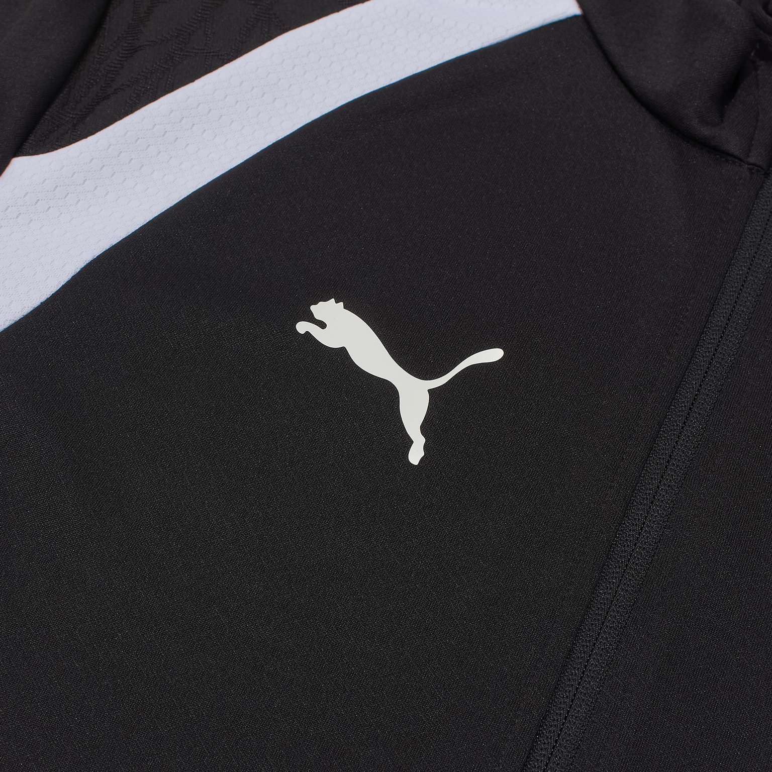 Олимпийка Puma Teamfinal26 65968203