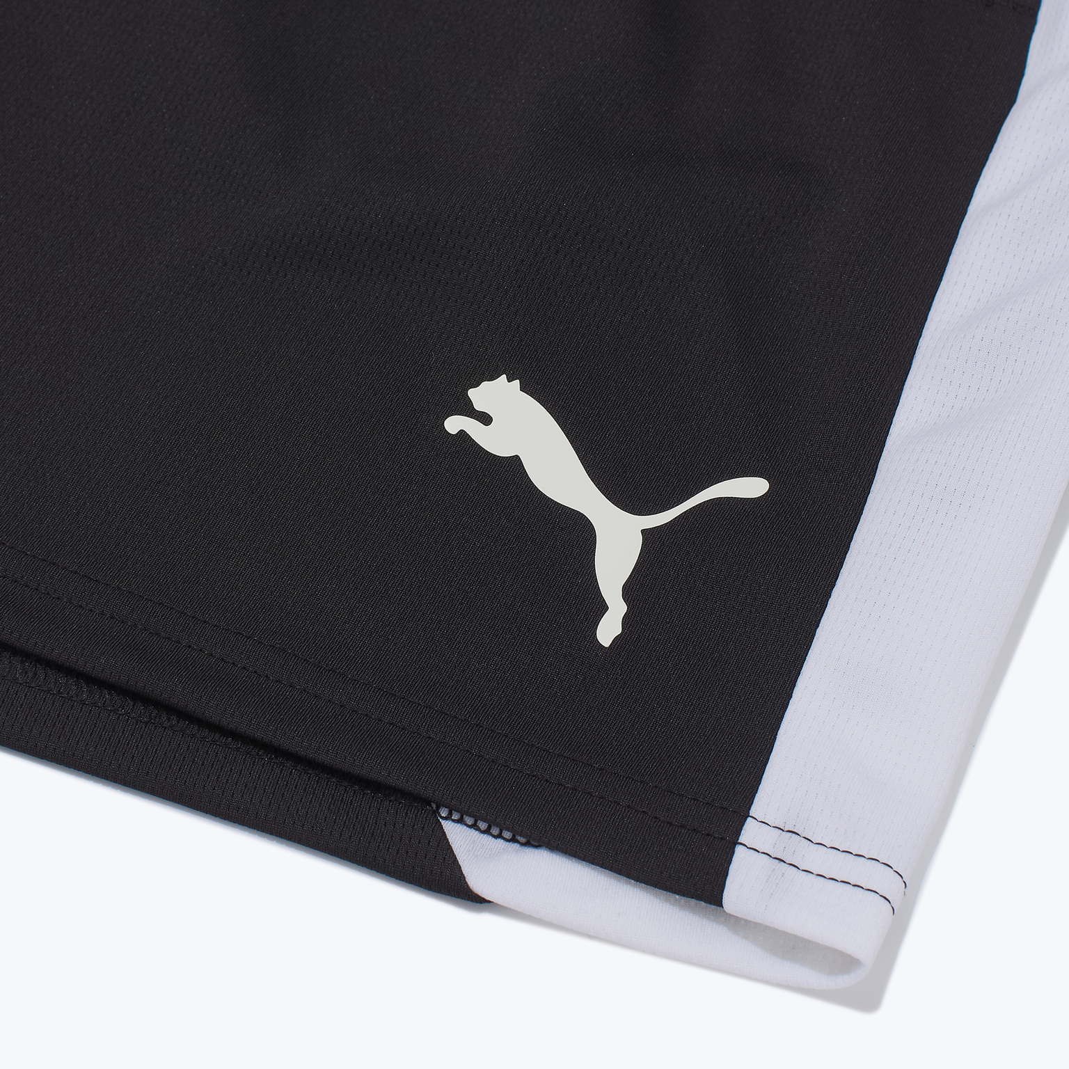 Шорты тренировочные Puma Teamfinal26 65968503