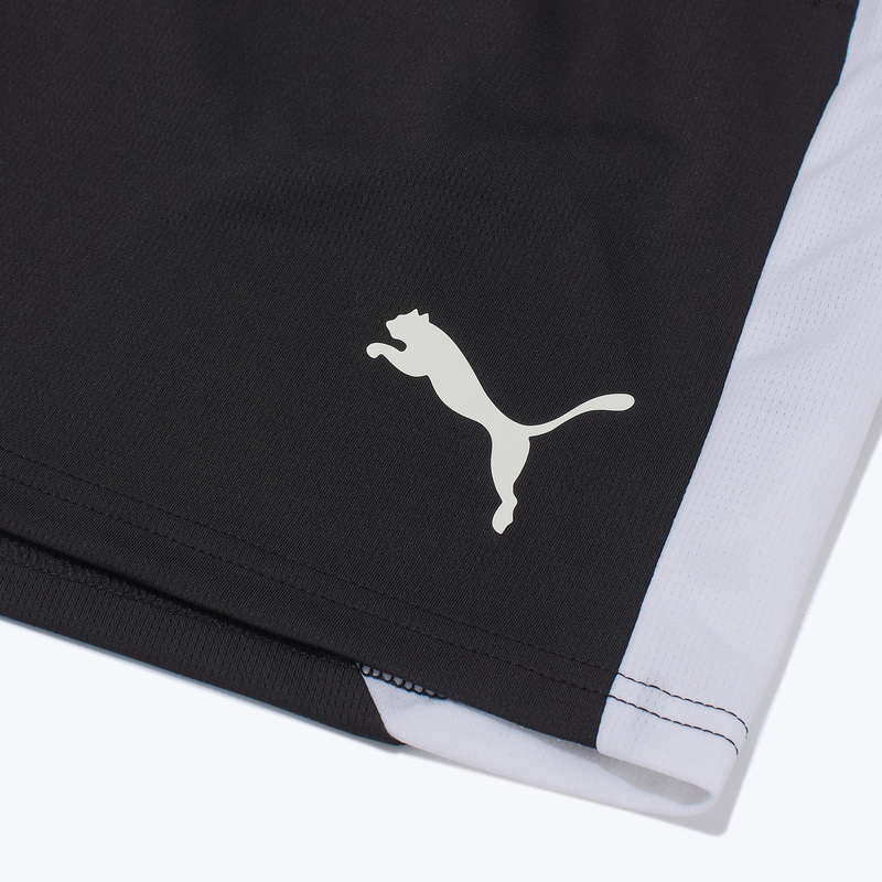 Шорты тренировочные Puma Teamfinal26 65968503