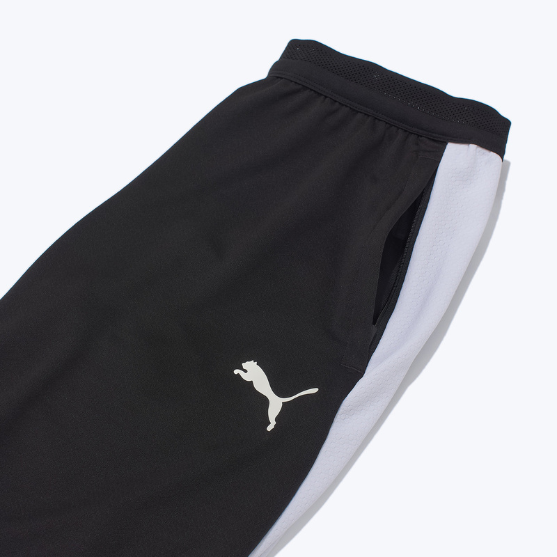 Брюки тренировочные Puma Teamfinal26 65968803