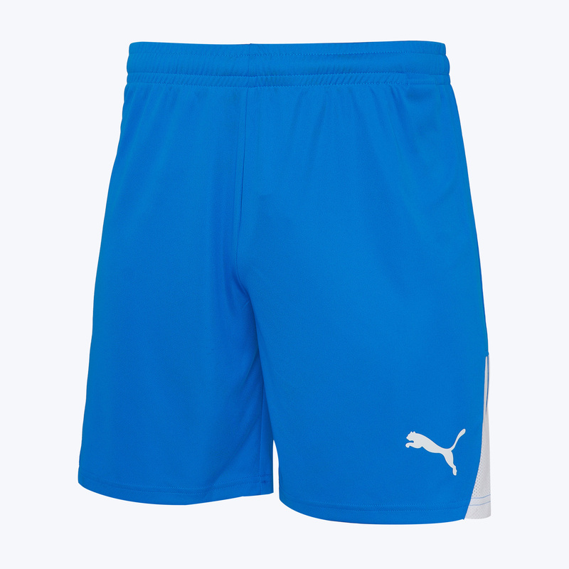 Шорты игровые Puma Teamliga26 70655402