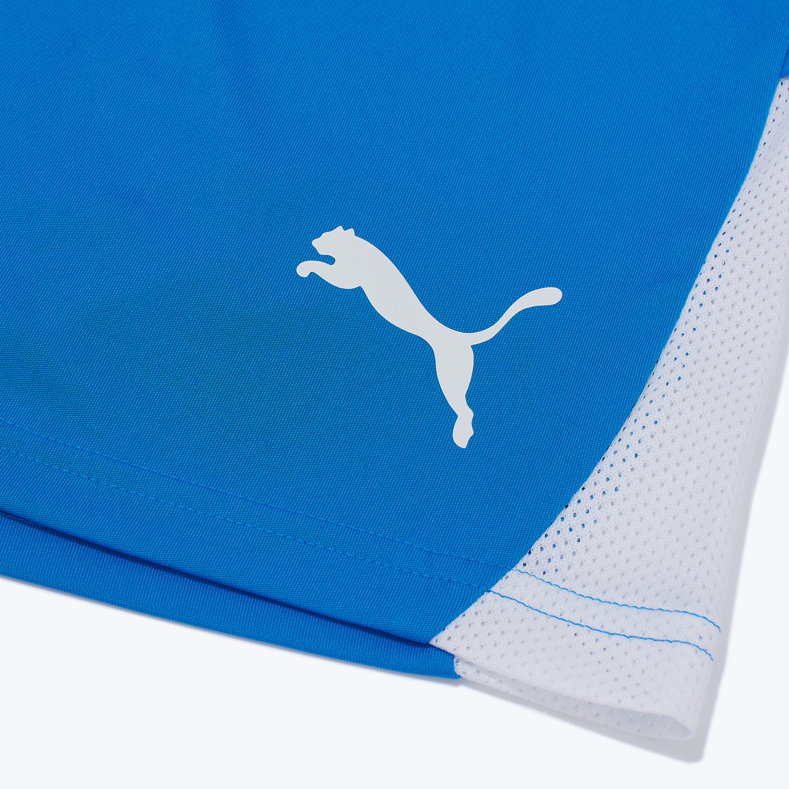 Шорты игровые Puma Teamliga26 70655402