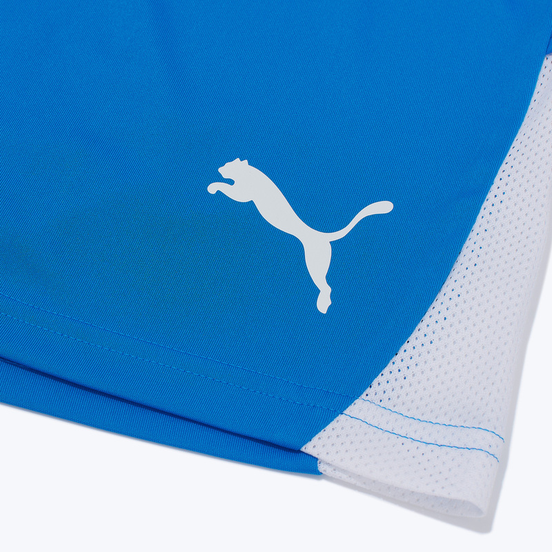 Шорты игровые Puma Teamliga26 70655402