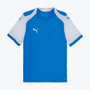 Футболка игровая подростковая Puma Teamfinal26 70665202