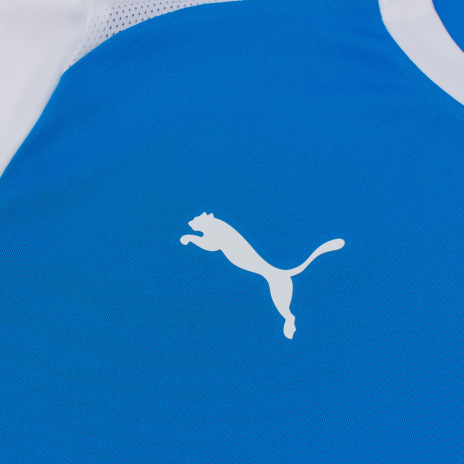 Футболка игровая Puma Teamliga26 Matchday 70654402