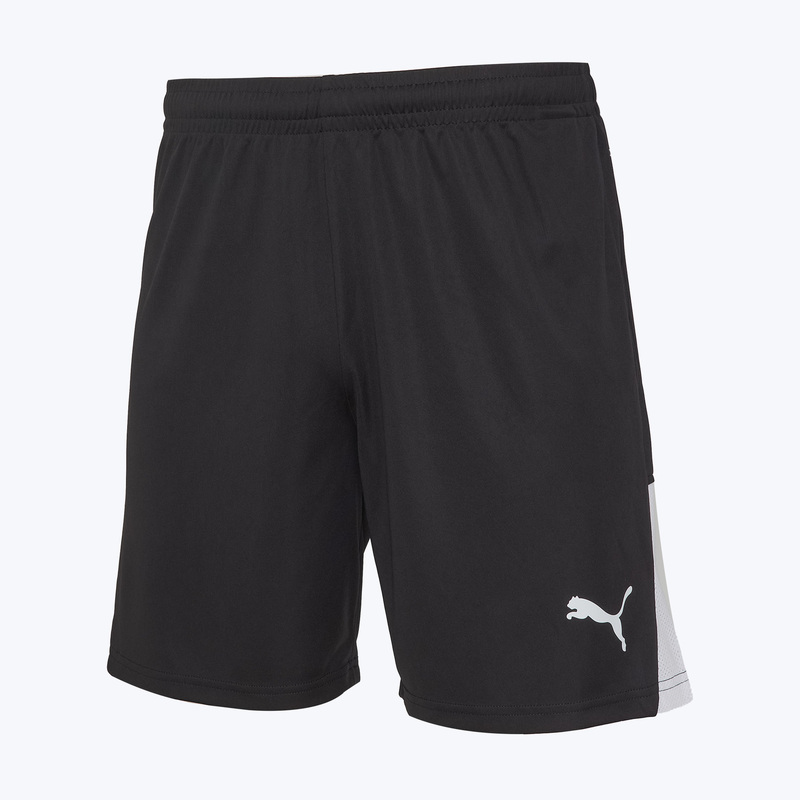 Шорты игровые Puma Teamliga26 70655403