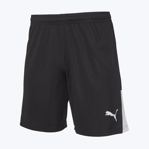Шорты игровые Puma Teamliga26 70655403