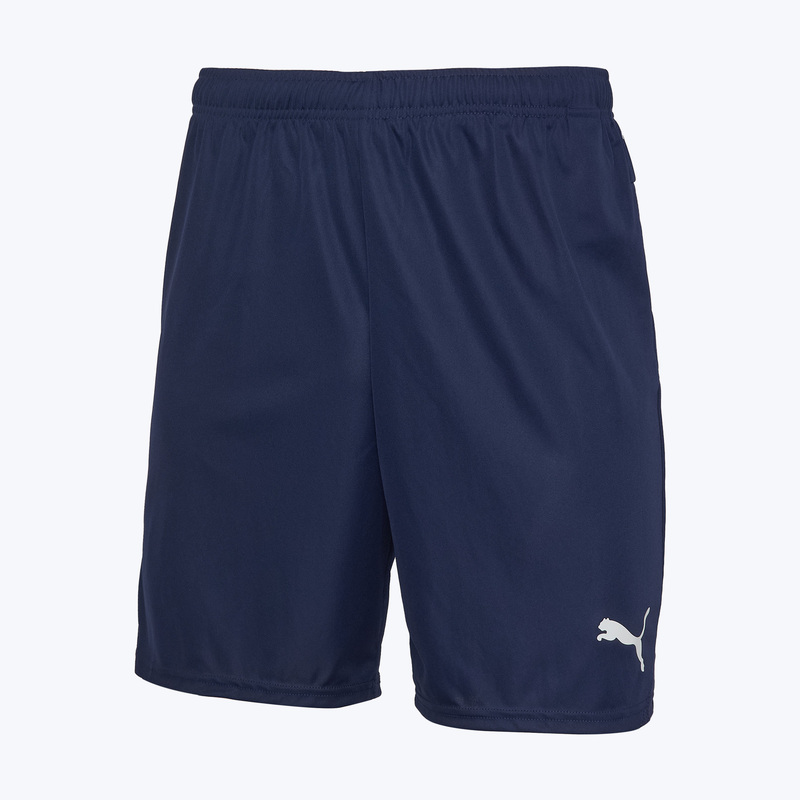 Шорты игровые Puma Teamgoal 70575206
