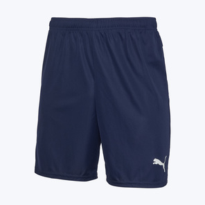 Шорты игровые Puma Teamgoal 70575206
