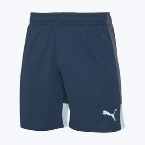 Шорты тренировочные Puma Individualliga 66057402