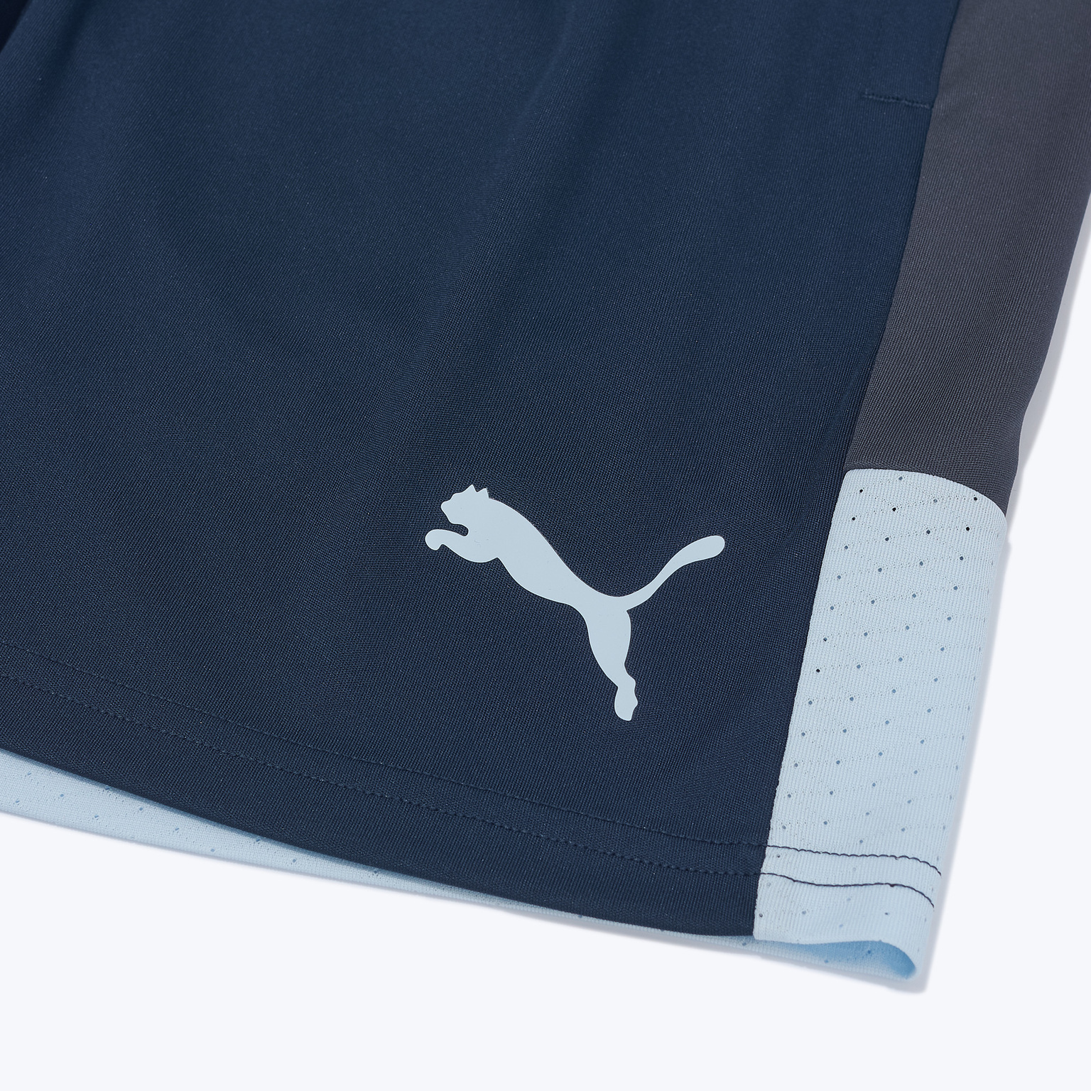 Шорты тренировочные Puma Individualliga 66057402