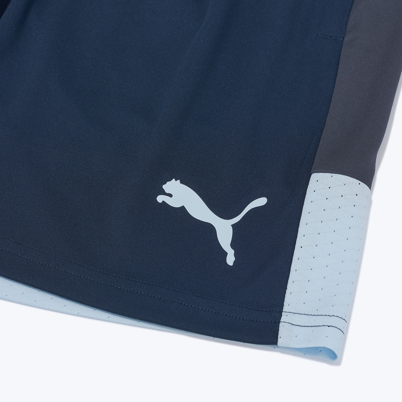 Шорты тренировочные Puma Individualliga 66057402