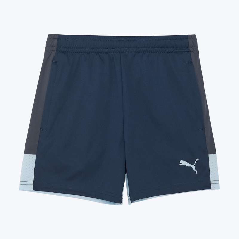 Шорты тренировочные подростковые Puma Individualliga 66057502