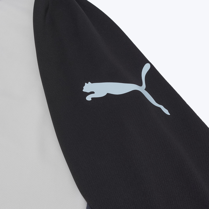 Костюм спортивный Puma Individualliga 66057602