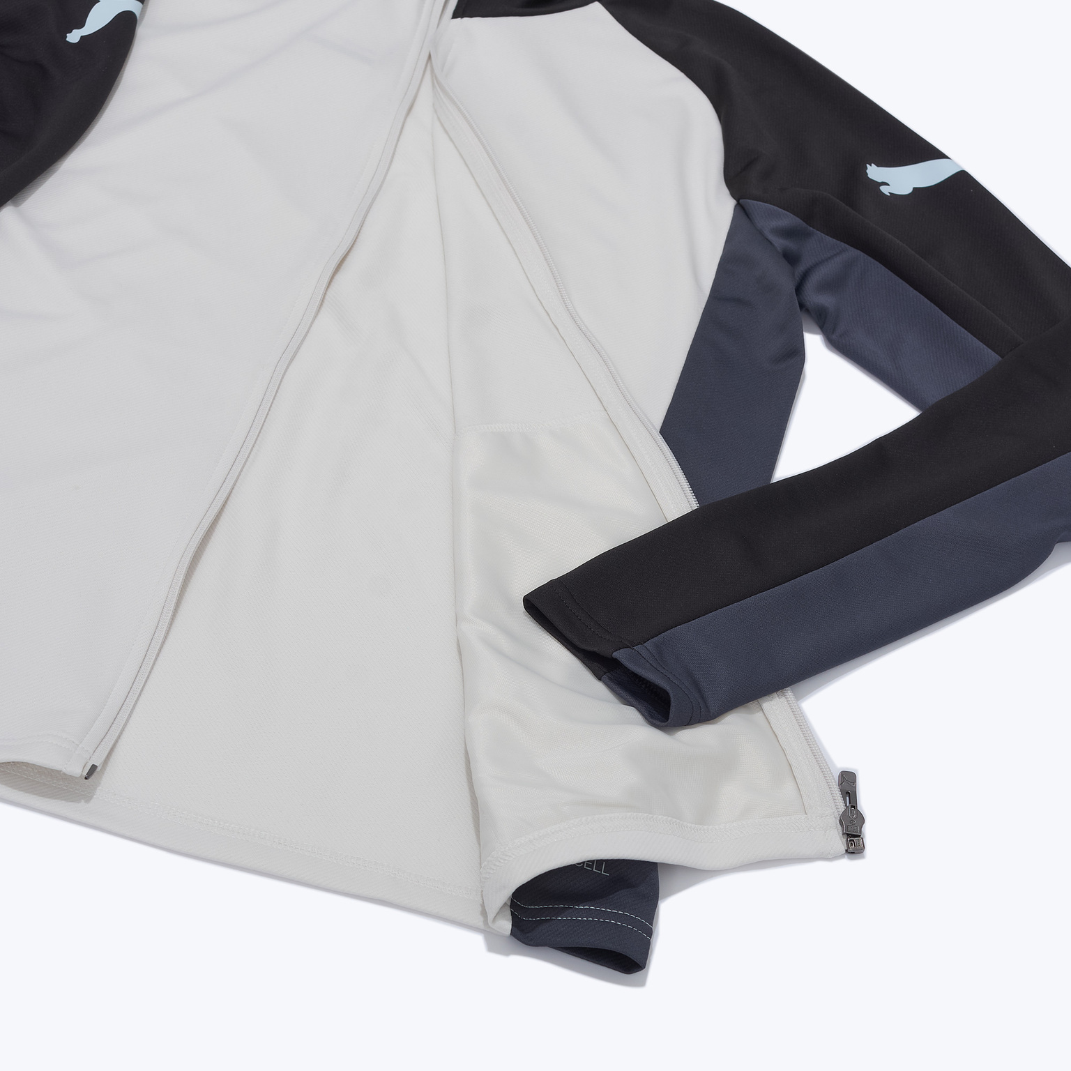 Костюм спортивный Puma Individualliga 66057602